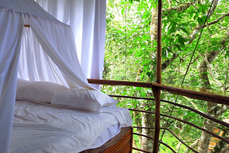 Canopy bed in our jungle treehouse with pillows, mosquito net and most importantly an epic view from the balcony 
