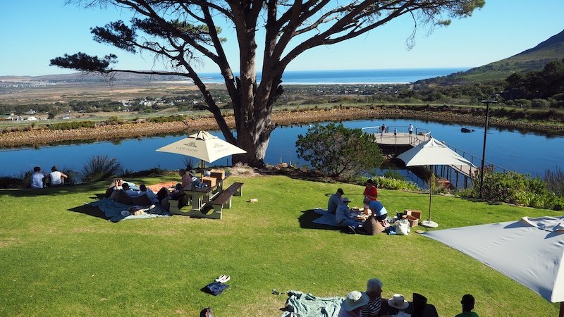 Visitors relax on picnic blankets and benches under umbrellas overlooking a tranquil pond, vineyards, and the distant coastline on a sunny day, enjoying scenic views during the Cape Peninsula Sidecar Tour from Cape Town to Cape of Good Hope