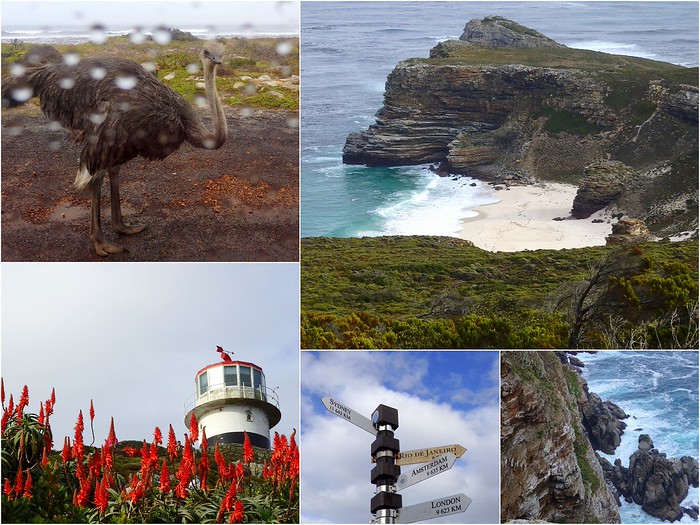 Cape Point Lighthouse on our tour of South Africa with wildlife encounters and dramatic views 
