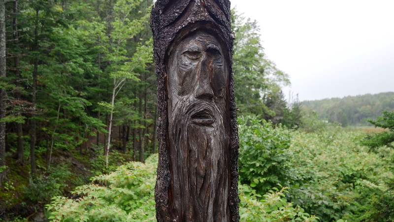 Carved tree sculpture at the Port Hawkesbury Community Hiking Trails representing an old man with a long beard on Cape Breton, Nova Scotia