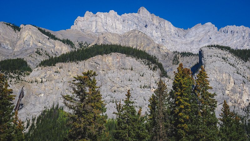 Towering grey limestone cliffs rising dramatically above dense evergreen forest under a clear blue sky, captured while admiring the mountain views from Cascade Ponds during our Canadian Rockies road trip