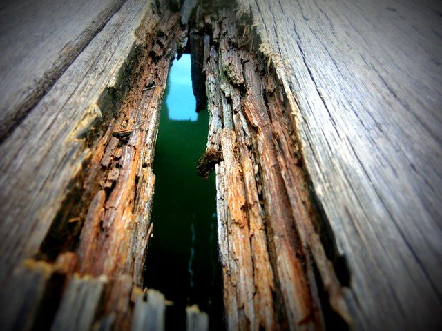 Close-up of weathered wooden planks with a crack revealing the sea below at the Clan Jetties in Georgetown, Penang, Malaysia