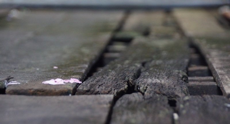 Close-up of weathered wooden planks along the Clan Jetties boardwalk in Georgetown, Penang, Malaysia, showing rustic textures and historic charm