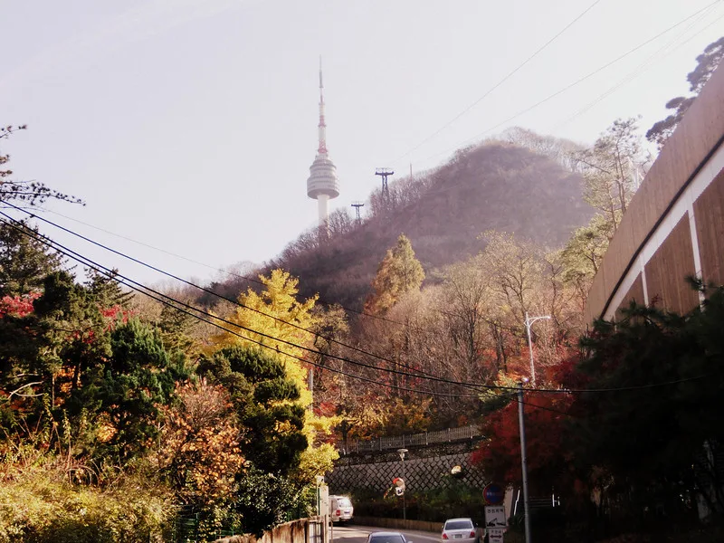 Climbing Namsan and Seoul Tower in Autumn For Epic Fall Colors! Namsan (South Mountain) and Seoul Tower in Autumn visiting Korea