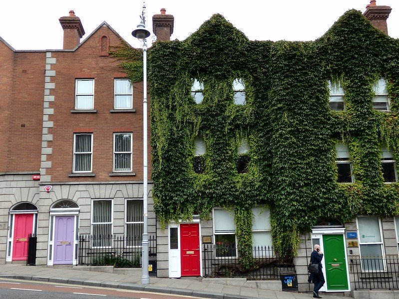 Colourful doors in Dublin featuring pink, purple, red and green on brick and ivy covered buildings