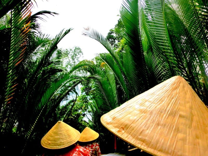 Conical hats and lush green scenery on our Mekong Delta Tour in Vietnam 