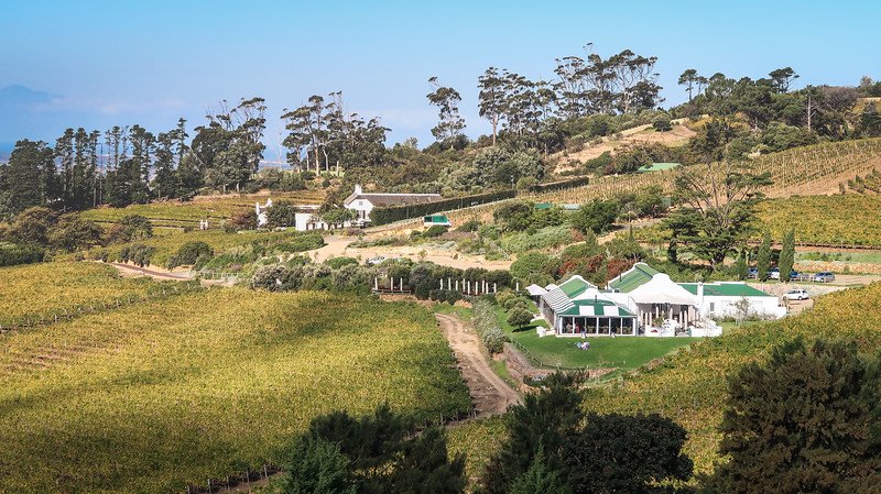 Scenic view of rolling vineyards and historic Cape Dutch buildings in Constantia, a renowned wine-producing region near Cape Town, South Africa, known for its picturesque estates and wine tasting experiences