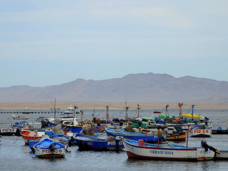 Day trip to Paracas and Islas Ballestas in Peru with fishing vessels and other boats docked in the foreground and mountain views points in the background