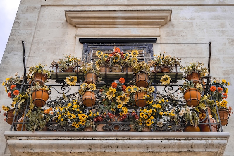 Distinct colorful plants on display on a balcony in Matera, Italy Distinct colorful plants on display on a balcony in Matera, Italy
