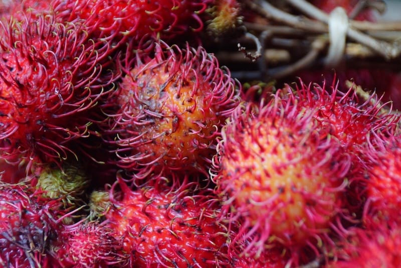 Distinct local fruit in Bali, Indonesia 