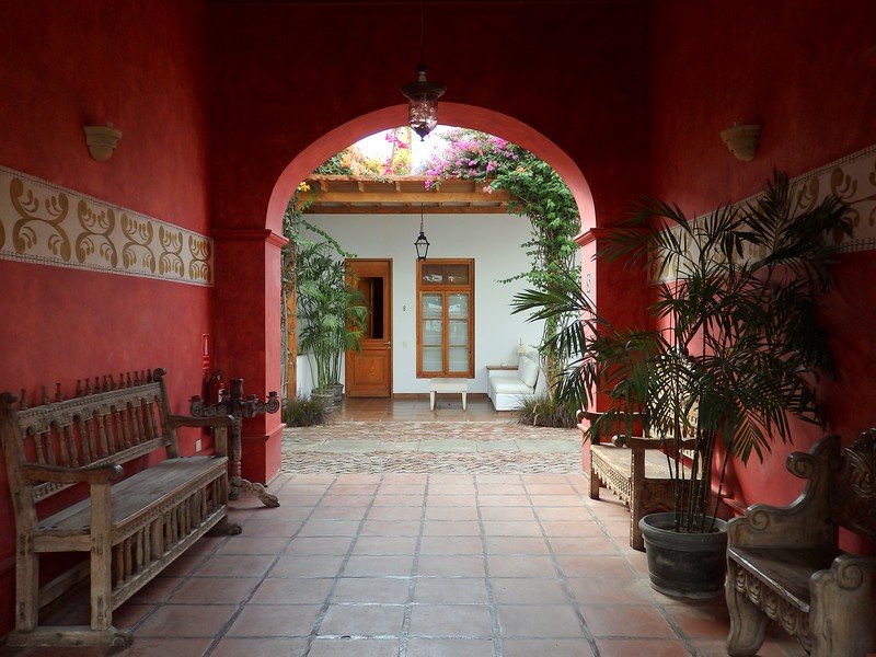 Doing a vineyard stay in Ica, Peru for wine tourism and rest and relaxation on a beautiful property 