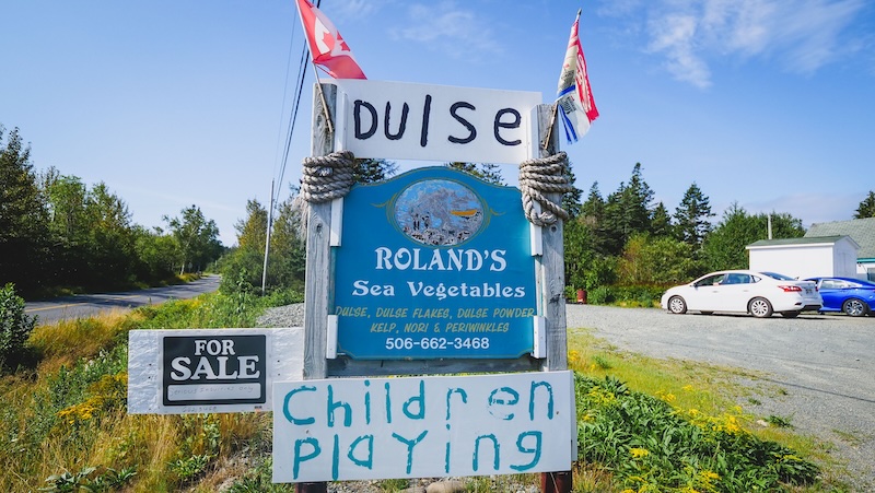 Dulse is a classic road trip staple for New Brunswick foodies 