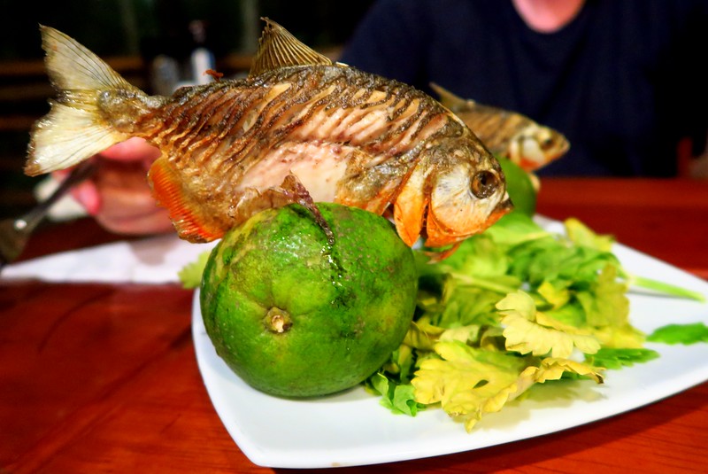 Eating piranhas in the Peruvian Amazon that we caught fishing earlier on in the day was a highlight of our adventure trip to Peru