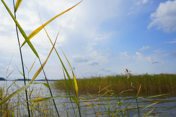 Enjoying a bit of nature in Kimito Island, Finland with views overlooking the water framed by vegetation 