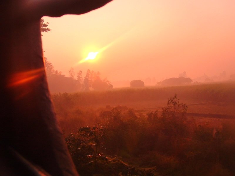 Epic sunrise with rural views from my train ride in India Epic sunrise with rural views from my train ride in India