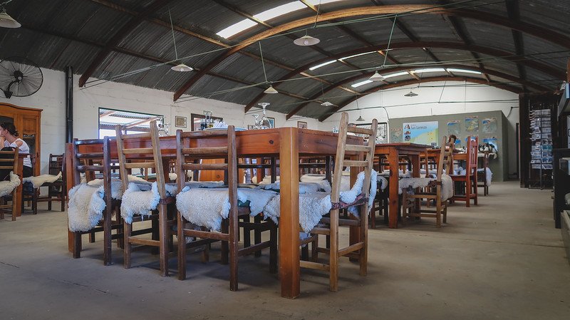 Rustic dining hall at Estancia San Lorenzo on Península Valdés, Argentina, featuring wooden tables with sheepskin-covered chairs under a curved tin roof. This traditional Patagonian estancia setting offers visitors an authentic countryside lunch experience