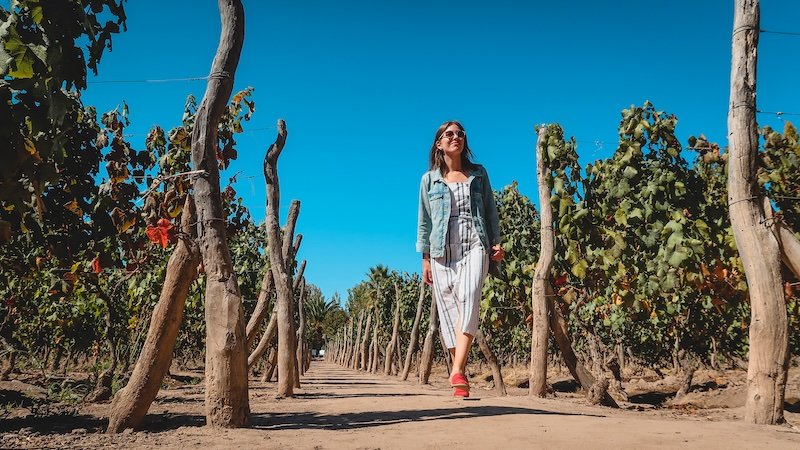 Filming That Backpacker Audrey Bergner walking through a vineyard in Mendoza Filming That Backpacker Audrey Bergner walking through a vineyard in Mendoza