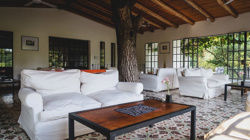 The cozy winery lounge at Finca Adalgisa, a boutique wine hotel in Mendoza, Argentina, featuring white armchairs, wooden tables, patterned tile floors, and a tree growing through the roof, creating a warm and inviting atmosphere