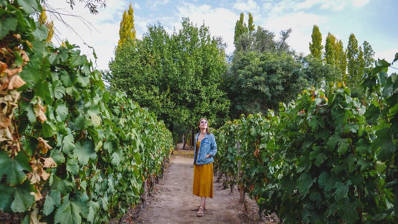 Audrey Bergner of That Backpacker standing among the lush vineyard rows at Finca Adalgisa in Mendoza, Argentina. She’s wearing a mustard skirt and denim jacket, looking up at the surrounding greenery and sky on a calm afternoon walk