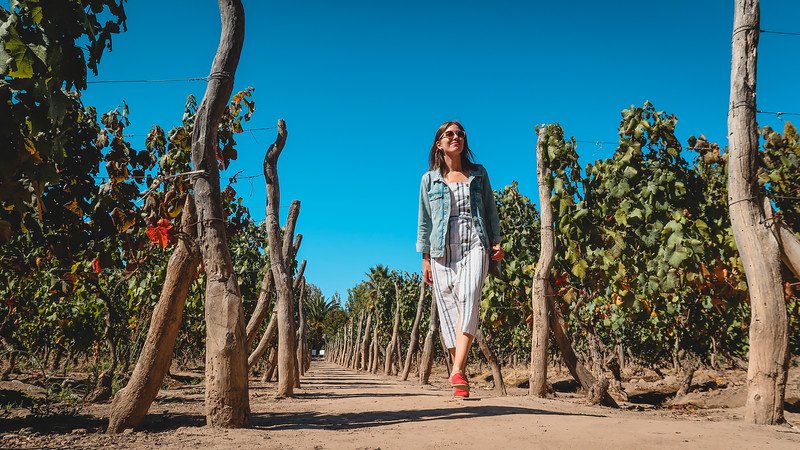 Audrey Bergner of That Backpacker walking through the vineyard at Finca Adalgisa in Mendoza, Argentina, on a sunny day. She wears a light dress and denim jacket while strolling along rows of lush vines under a clear blue sky
