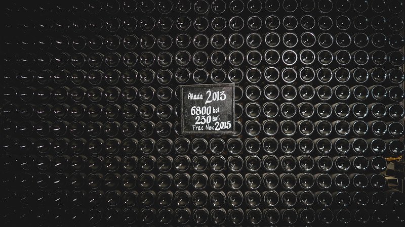 Hundreds of wine bottles stacked horizontally in the cellar at Finca Adalgisa in Mendoza, Argentina. A chalkboard sign notes the 2013 vintage with 6,800 bottles produced, creating a striking visual wall of dark glass in the winery’s storage room