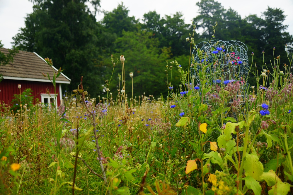 Finland in the Summer? Discovering the Kimitoön Archipelago
