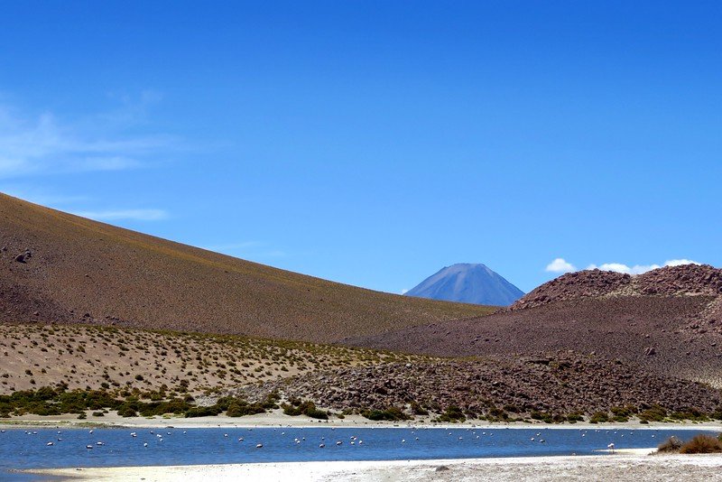 Flamingos feeding in a high-altitude lagoon with volcanic peaks in the background near El Tatio Geysers, Atacama Desert, Chile