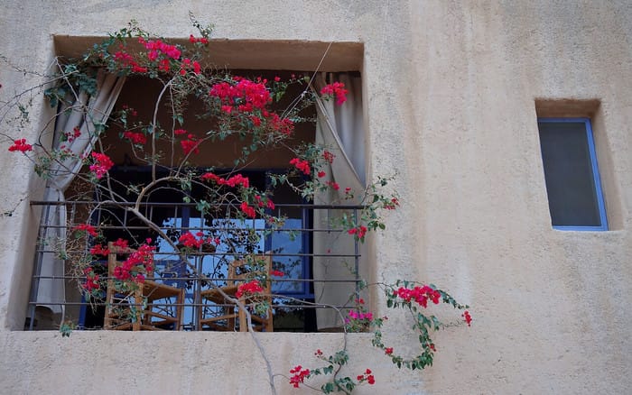 Flowers and plants flowing naturally from the window and balcony of the Fenyan Eco Lodge in Jordan 