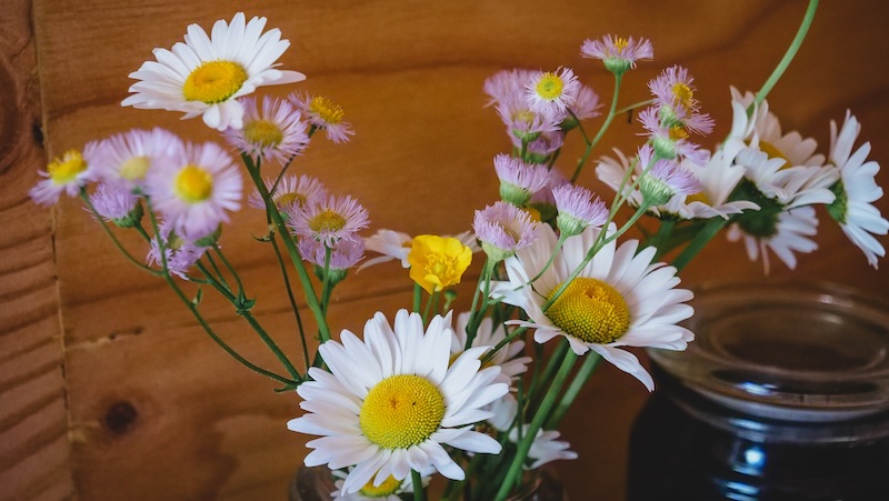 Flowers placed inside of our tiny house room nearby Toronto 