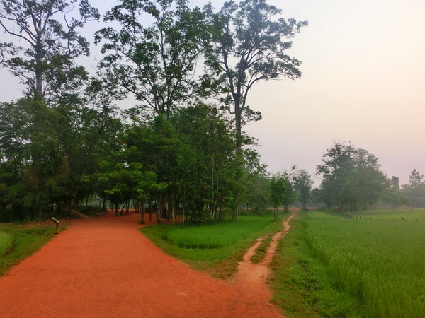 Fork in the road in Cambodia while taking a tuk tuk to the temples of Angkor including Banteay Srei