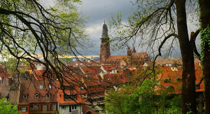 Panoramic view of Freiburg im Breisgau’s red-roofed old town framed by spring foliage, with the towering Freiburg Cathedral rising above the cityscape under a dramatic cloudy sky