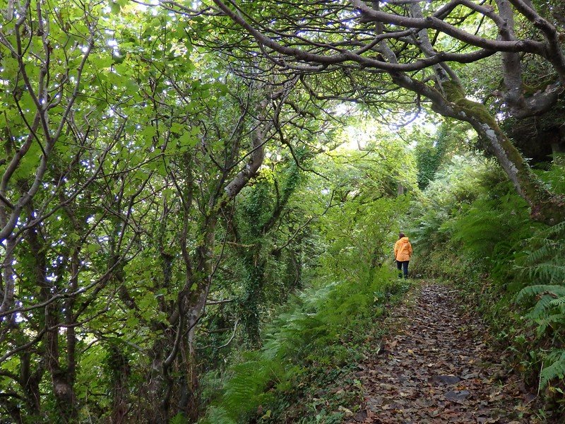 Gardens by Mussenden Temple with hiking trails offering a green escape on our Ireland road trip