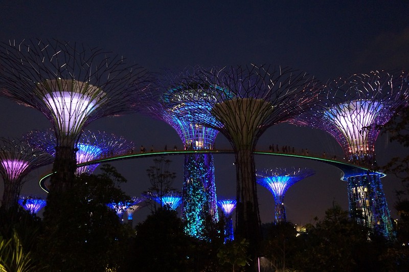 Gardens by the Bay at nighttime in Singapore with everything all lit up at night and looking awfully futuristic and surreal at the same time 