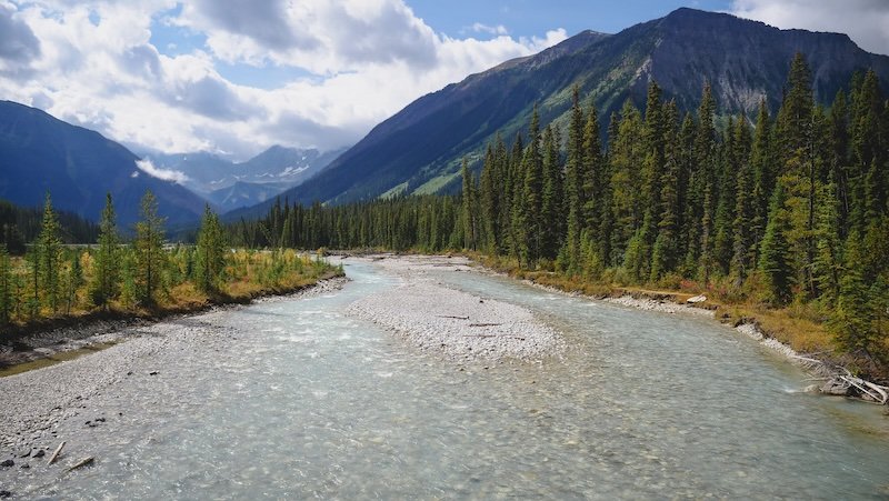 Glacial river winding through a valley of dense evergreen forest and towering mountain peaks under partly cloudy skies, showcasing the rugged natural beauty of the Canadian Rockies on our road trip