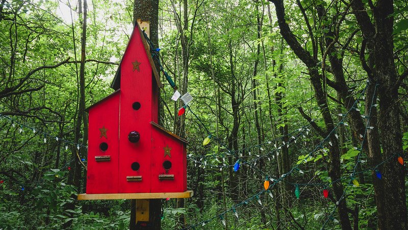 A vibrant red birdhouse with golden stars attached to a tree, surrounded by lush green forest and strung with colourful fairy lights. This whimsical woodland decoration adds charm to the forested setting around the cosy tiny cabin in Glen Huron, Ontario
