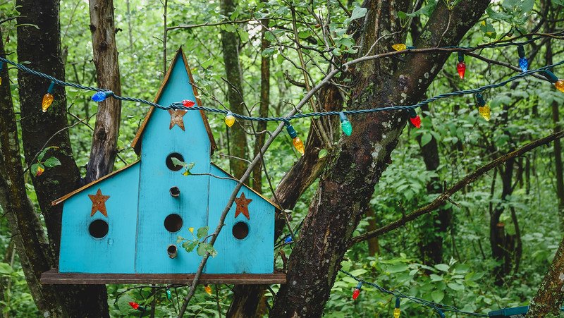 Whimsical blue birdhouse decorated with golden stars hanging among tree branches wrapped in colourful fairy lights in a lush green forest near a tiny cabin in Glen Huron, Ontario, Canada, adding a magical and playful touch to the woodland