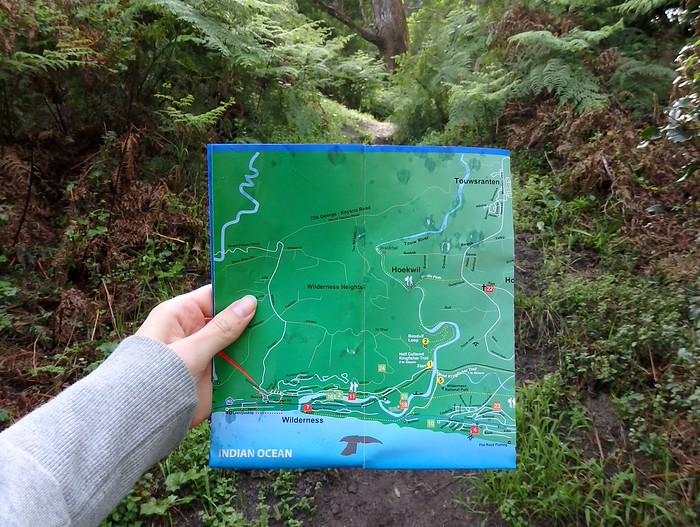 Going hiking in Wilderness, South Africa with a map of all of the hiking routes and various trails held by That Backpacker Audrey Bergner