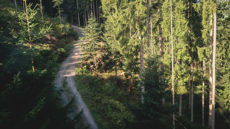 Going over forest in the gondola to Wiedersbergerhorn with trees and mountain pathways in Tirol, Austria 