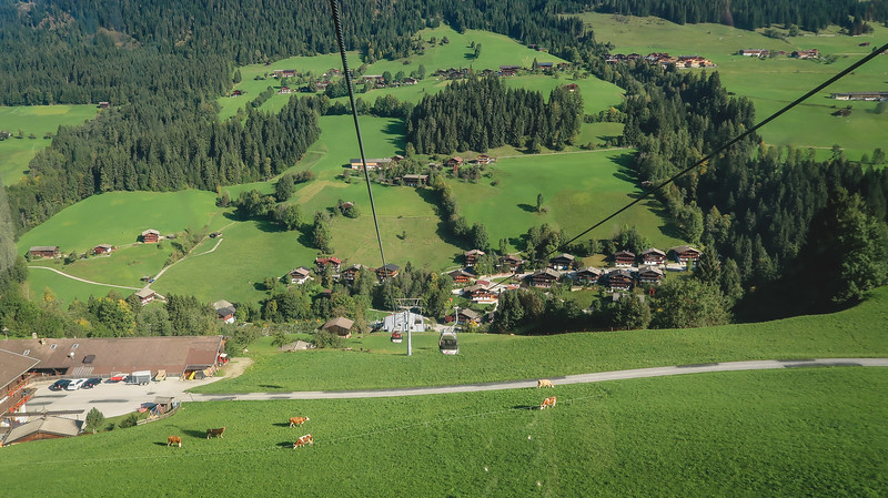 Gondola ride to Wiedersbergerhorn in Alpbach where you can spot both cows and distinct houses amidst the farmland and forest combination