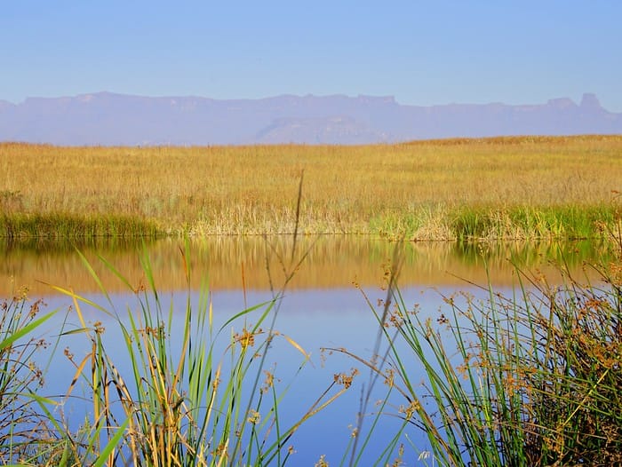 Gorgeous landscape that you'll encounter visiting South Africa