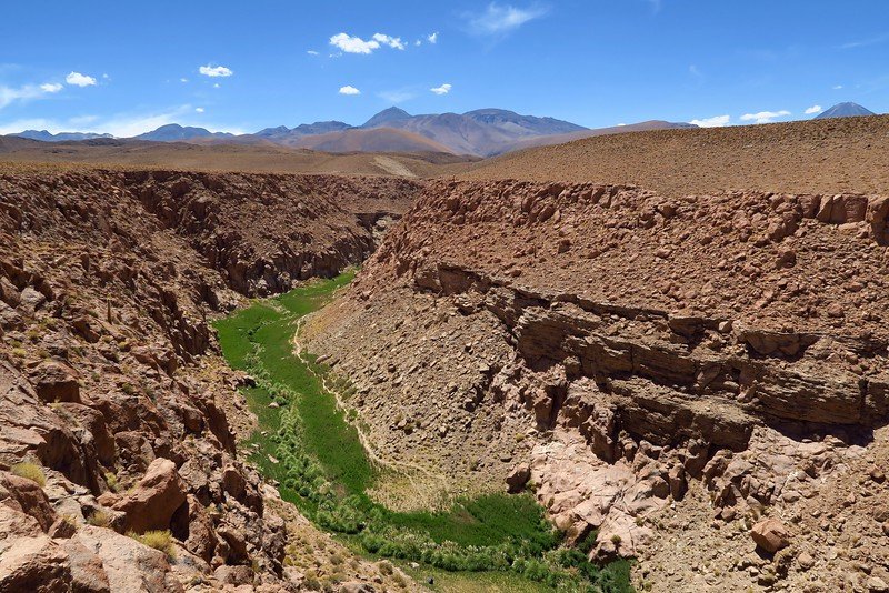 Green river oasis cutting through rocky canyon near El Tatio Geysers in the Atacama Desert, Chile