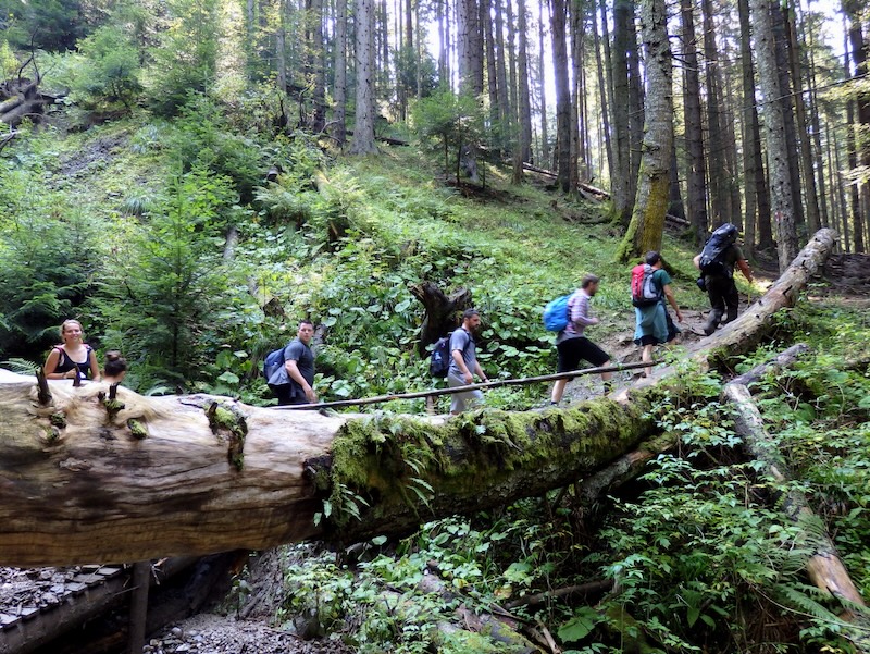 Hikers on our trip making their way up the mountain at Ceahlau National Park in Romania 