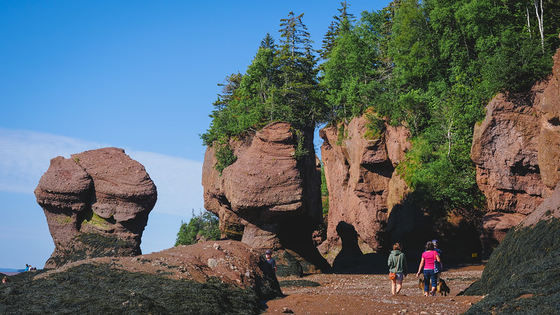 Hiking around the Flower Pots during low tide at the Hopewell Rocks