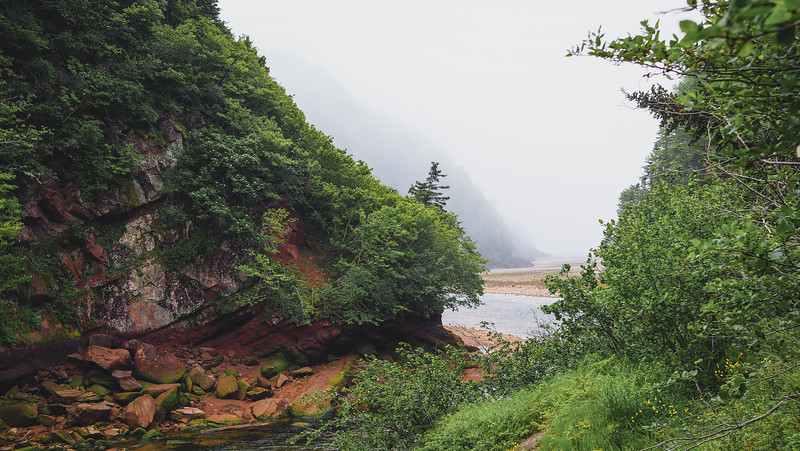 Hiking in Fundy National Park during our New Brunswick road trip offered numerous scenic vantage points and natural scenery 