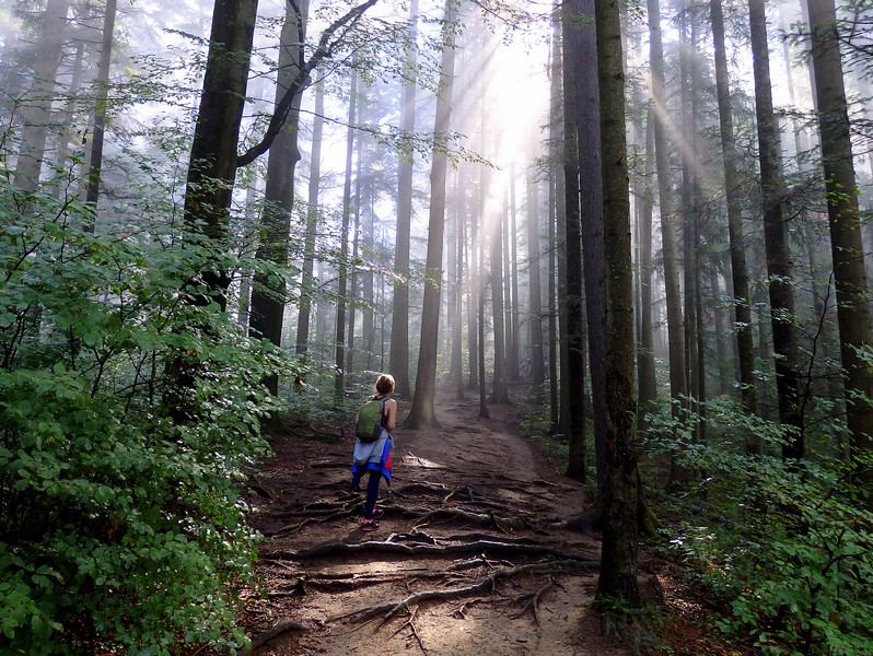 Hiking in Romania's Ceahlău National Park in the Eastern Carpathians with That Backpacker Audrey Bergner enjoying the wilderness and rays of sun