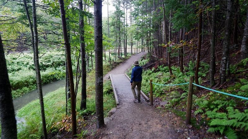 Hiking the trails in Port Hawkesbury in Southern Cape Breton Island with Nomadic Samuel enjoying the path with fresh air aplenty 