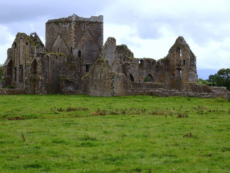 Ancient stone ruins of Hore Abbey in Ireland, featuring weathered medieval walls, arched windows, and a central tower rising above a lush green pasture, with overcast skies adding a dramatic backdrop to the historic monastic site near the Rock of Cashel