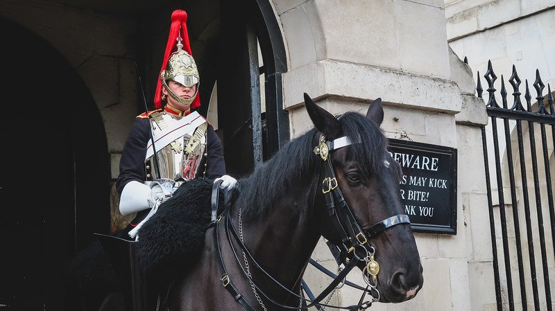 A ceremonial guard in traditional uniform with a polished helmet and red plume sits atop a black horse at Horse Guards Parade in London, standing watch at the historic entrance and offering visitors a glimpse of Britain’s enduring royal pageantry