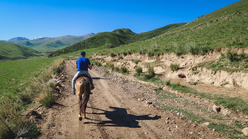A rider on horseback following a dirt trail through rolling green hills and distant snow-capped peaks during the 3-Day Panorama Trek in Kyrgyzstan, under a clear blue sky