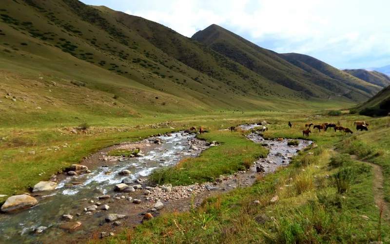Horse trekking on our way to Song Kol Lake with scenic river and mountain views in Kyrgyzstan 